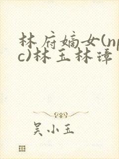 林府嫡女(npc)林玉林璋