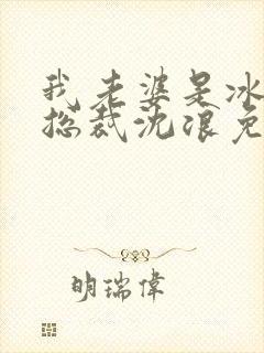 我老婆是冰山女总裁沈浪免费阅读