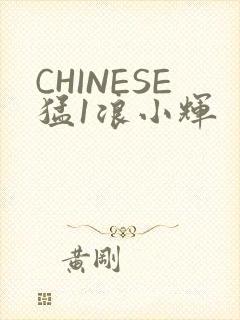 CHINESE猛1浪小辉