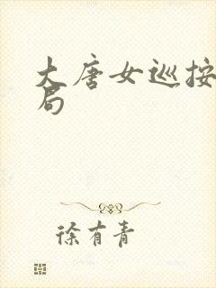 大唐女巡按大结局