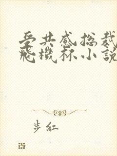 受共感总裁攻的飞机杯小说叫什么