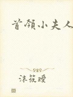 首领小夫人