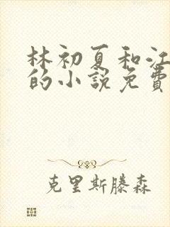 林初夏和江未寒的小说免费阅读