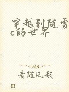 穿越到随处可以c的世界