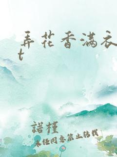 弄花香满衣txt