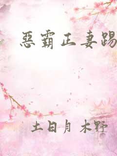 恶霸正妻踢娇妾