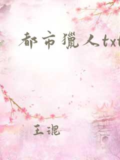 都市猎人txt