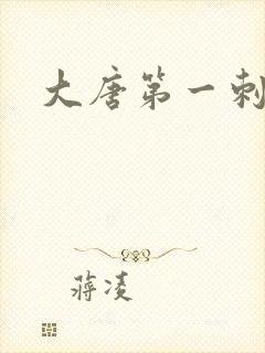 大唐第一刺局