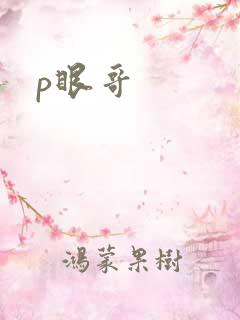 p眼哥