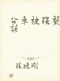 公车被强系列小说