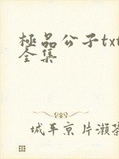 极品公子txt全集