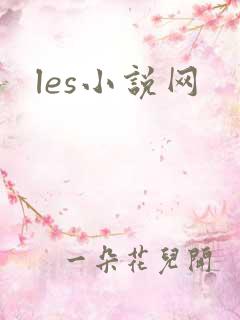 les小说网