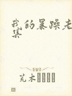 我的暴躁老妈全集