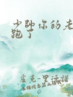 少帅你的老婆又跑了