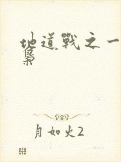 地道战之一代功枭