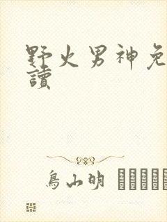 野火男神免费阅读