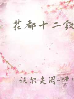 花都十二钗小说