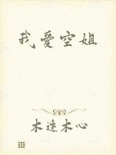我爱空姐