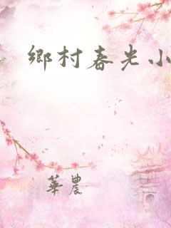 乡村春光小说