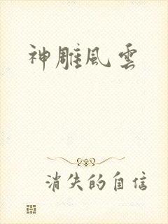 神雕风云