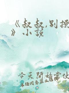 《叔叔,别撩我》小说