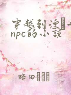 穿越到湮婸世界npc的小说