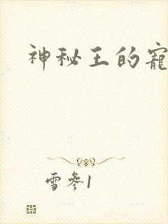 神秘王的宠姬