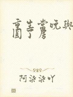 重生当晚与军夫圆了房