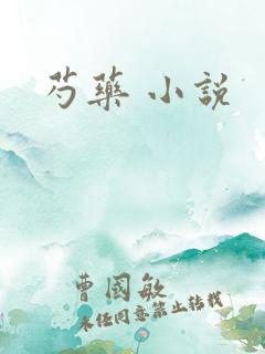 芍药 小说