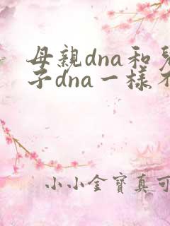 母亲dna和儿子dna一样不
