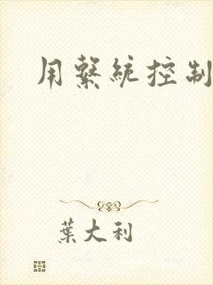 用系统控制女神