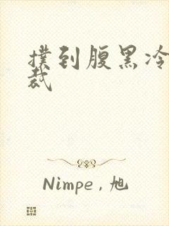 扑到腹黑冷面总裁