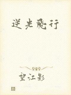 逆光飞行