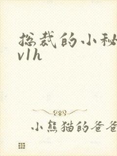 总裁的小秘书1v1h