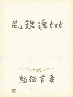风玫瑰txt