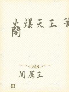 火爆天王 笔趣阁