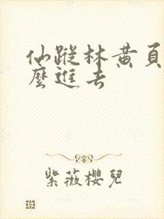 仙踪林黄页网怎么进去