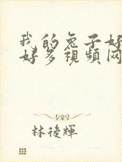 我的兔子好软水好多视频网页下载