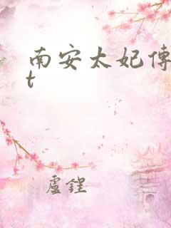 南安太妃传txt
