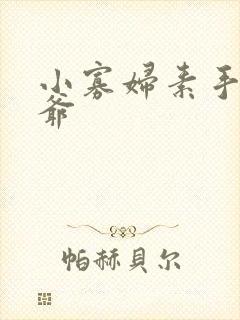 小寡妇素手擒四爷