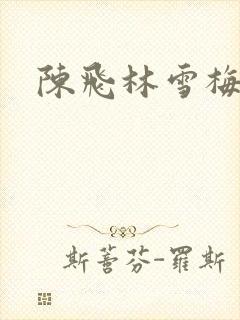 陈飞林雪梅
