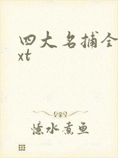 四大名捕全集txt