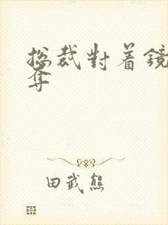 总裁对着镜子掠夺