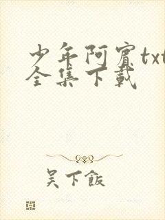 少年阿宾txt全集下载