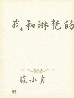 我和琳梵的故事