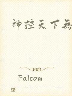 神控天下无弹窗