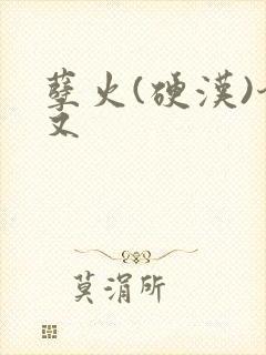 孽火(硬汉)今又