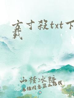 方寸杀txt下载