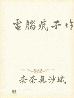 电脑疯子作品