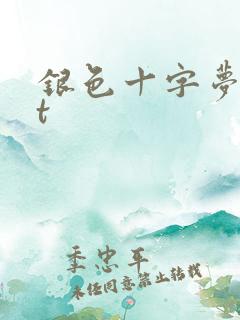 银色十字梦txt